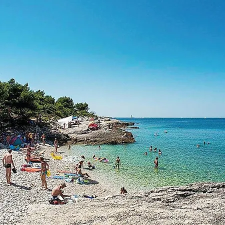 Gorgeous In With Swimming Pool Apartment Ližnjan